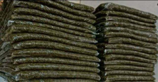 قورمه شمال سرخ شده