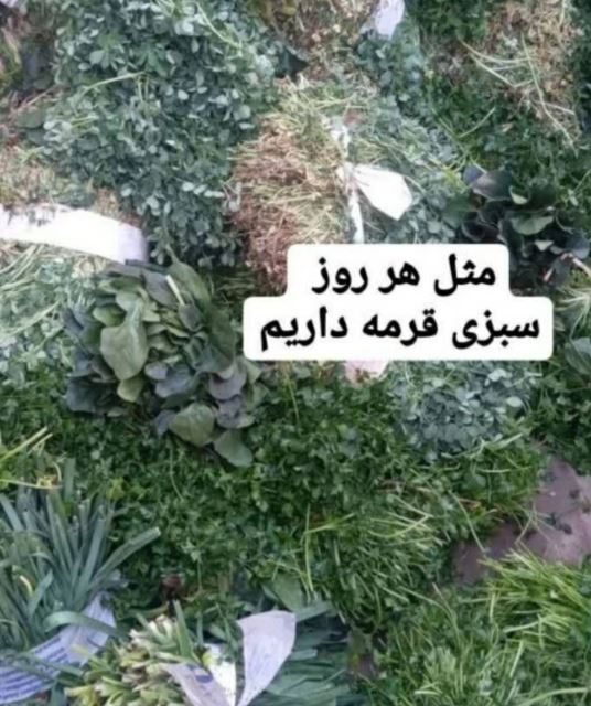 قورمه تهران سرخ شده