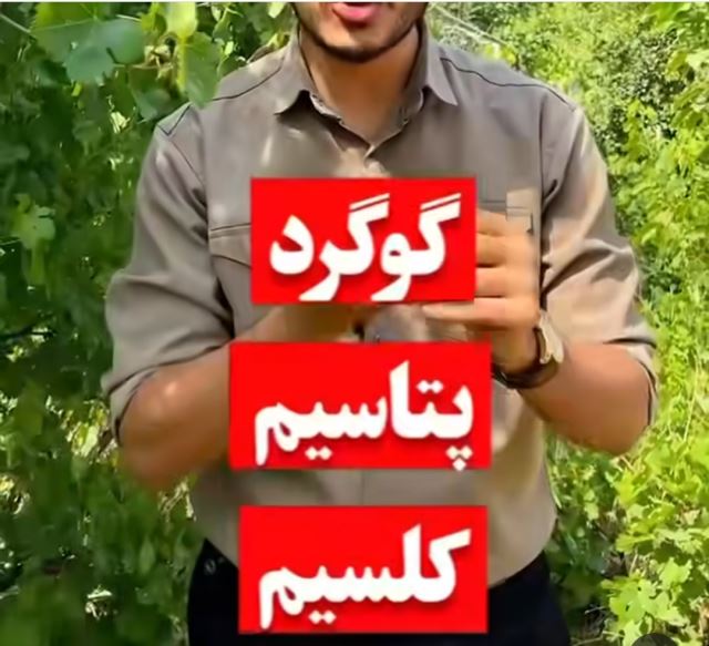 داروخانه گیاهپزشکی مهندس عباسی 