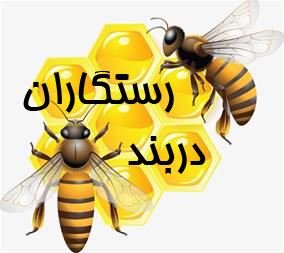  عسل طبیعی دربند رستگاران صحنه تولید کننده عسل ، موم ، ژل رویال ،عسل گشنیز ،عسل گون،بهاره ،خوشیل