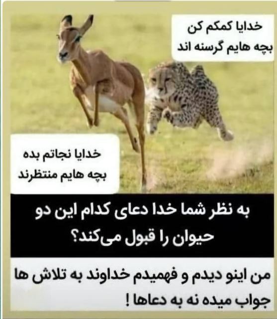 از تو حرکت از خدا برکت