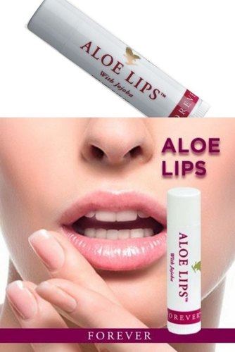 بالم لب فوراور