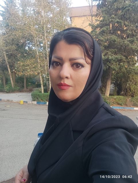 مدیر کار آفرین 