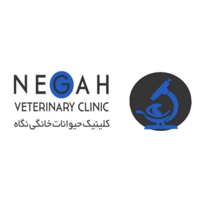 کلینیک دامپزشکی حیوانات خانگی نگاه در مشهد