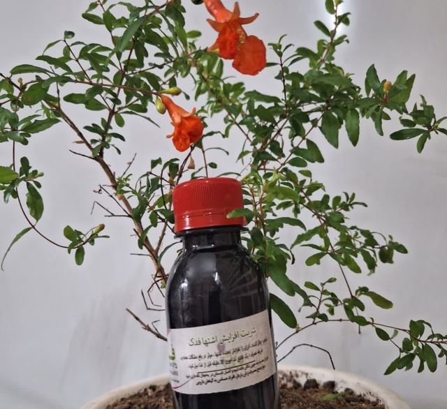 شربت افزایش اشتها