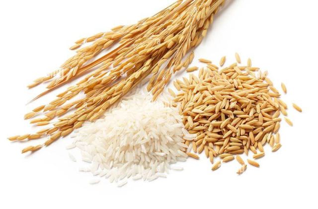 مراحل تبدیل برنج