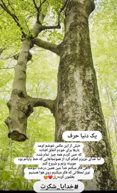پکیج طلایی