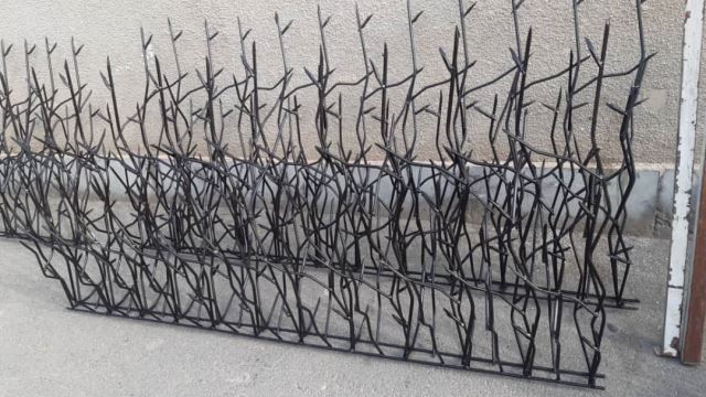پخش و اجراى حفاظ شاخ گوزنى در تبریز