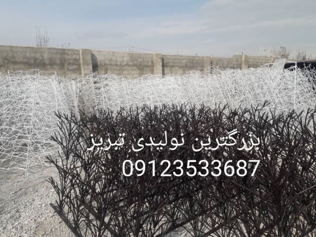 پخش و اجراى حفاظ شاخ گوزنى در تبریز