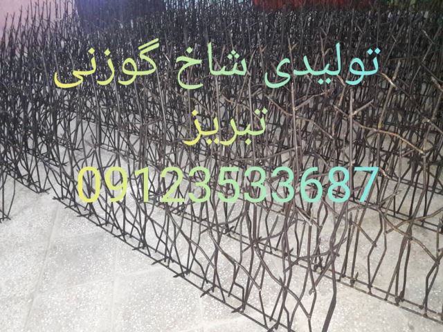 پخش و اجراى حفاظ شاخ گوزنى در تبریز