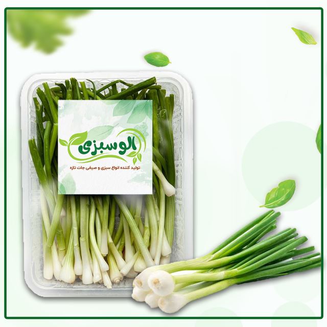 پیازچه