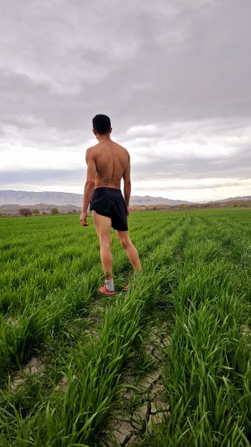 کارشناس inoti 