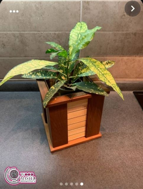 انواع گلدان ترموود