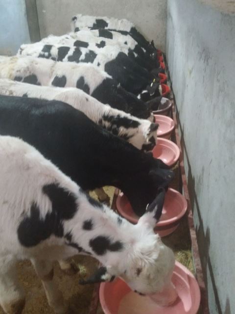 نصرت الله رشیدی کارآفرین برترلرستانی