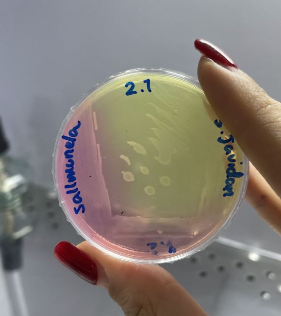 دوره جامع میکروب شناسی