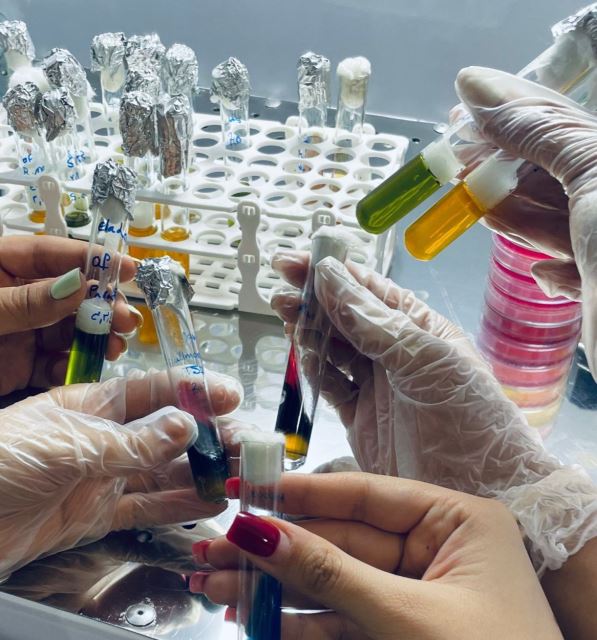 انجام کار عملی توسط دانش پژوهان به صورت انفرادی