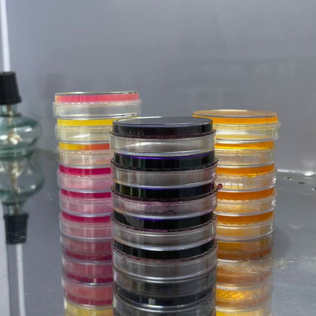 آموزش ساخت انواع محیط های کشت در دوره جامع میکروب شناسی