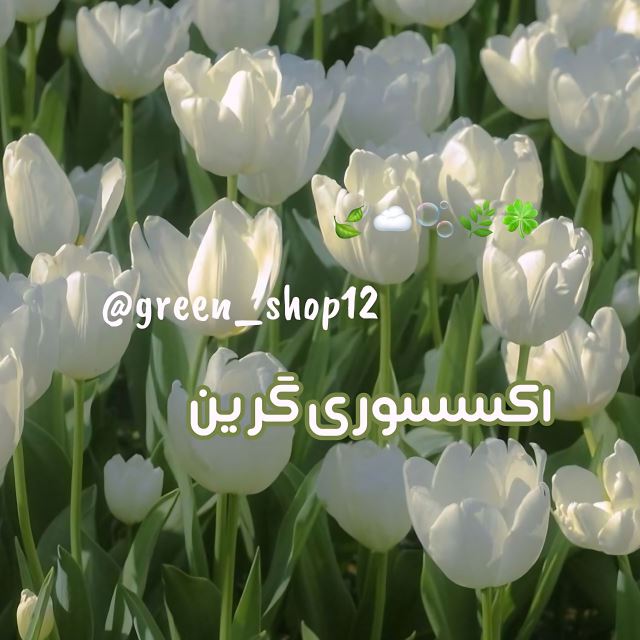 گرین شاپ12