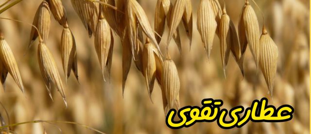 عطاری تقوی
