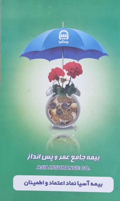 بیمه عمر و سرمایه گذاری 