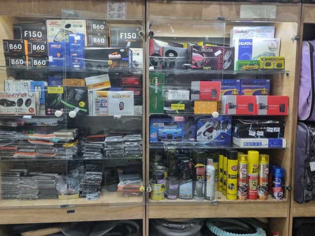 انواع دزدگیر و GPS