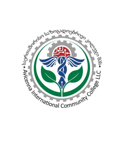 کالج بین المللی ابن سینا گرجستان