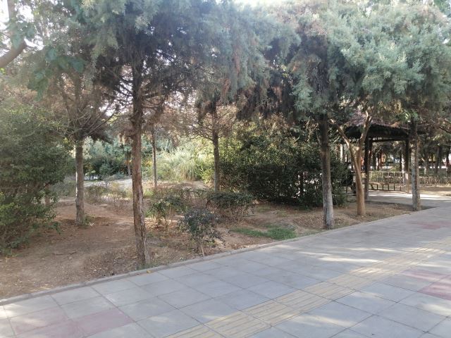 ترمه کاویانی