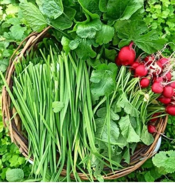 سبزی خورشتی 