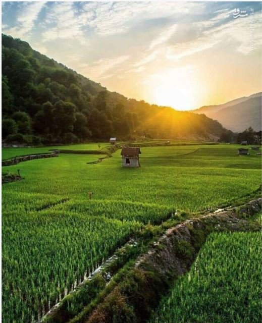 طبیعت