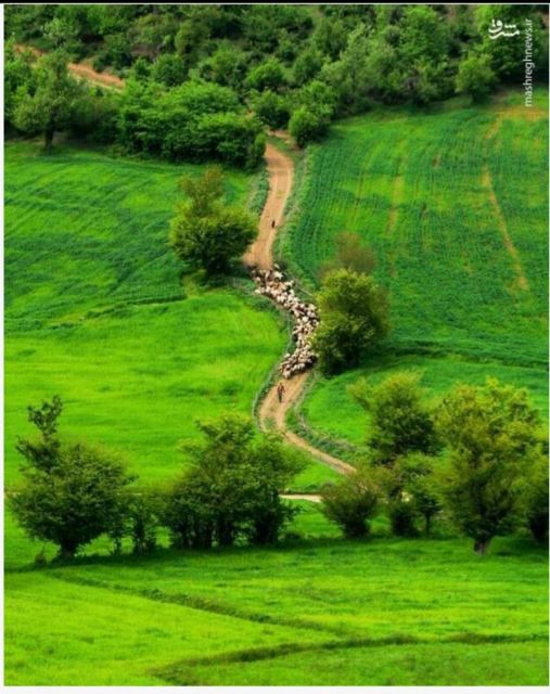 طبیعت