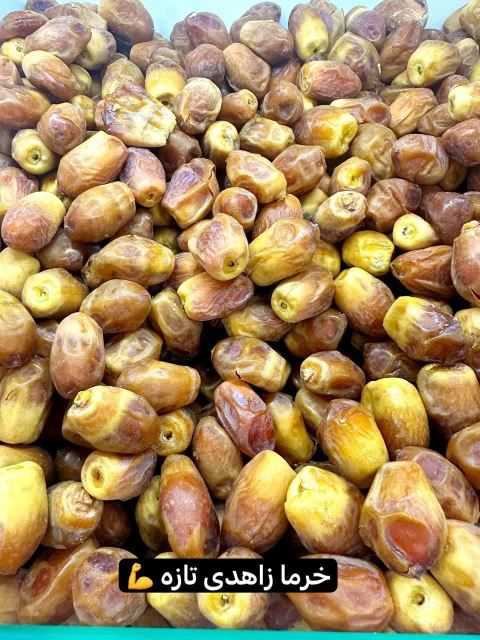 خرمای زاهدی