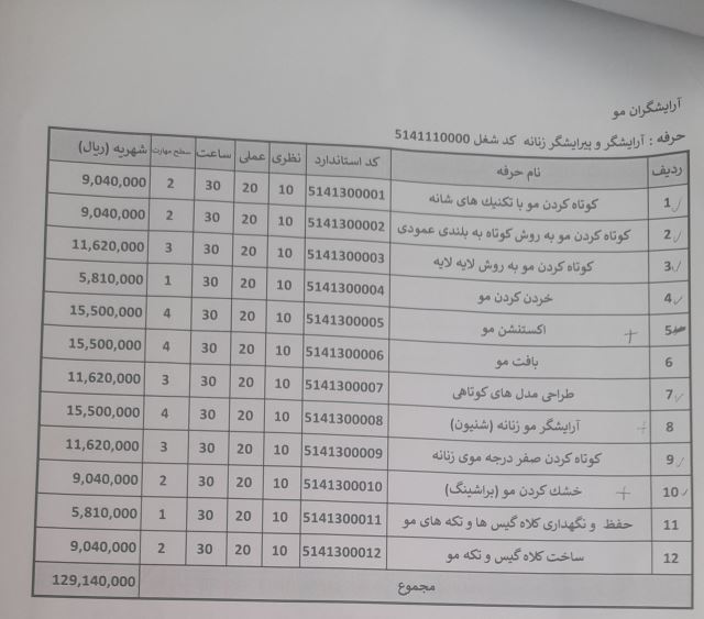آموزش دوره آرایش مو