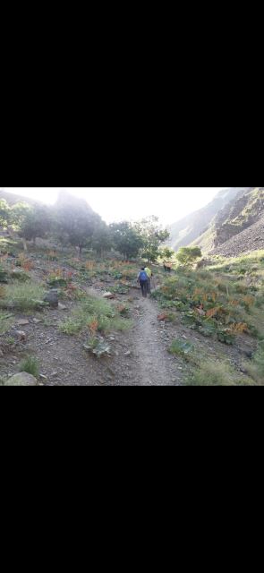 طبیعت بوژان