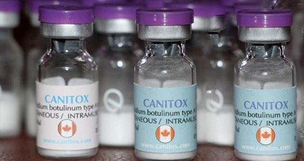 کنیتوکس (Canitox)