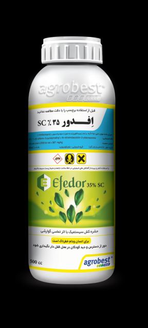 افدور Efedor