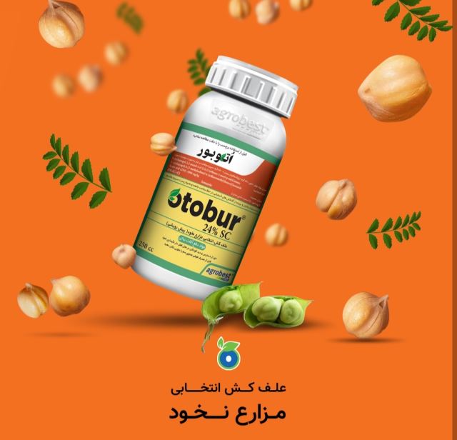 اتوبورOtubor