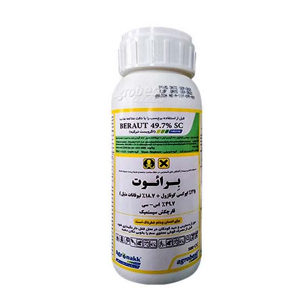 برائوتBeraut