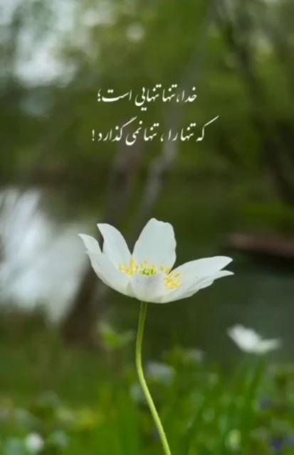 زندگی