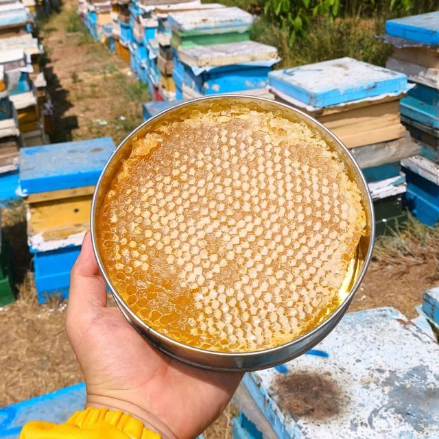 عسل یاخشی بال