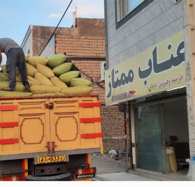 ارسال عناب