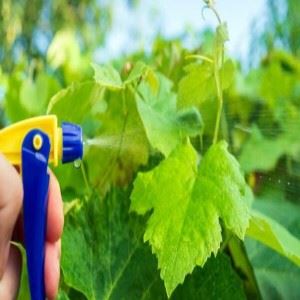 آفت کش بایوفرنوساید
