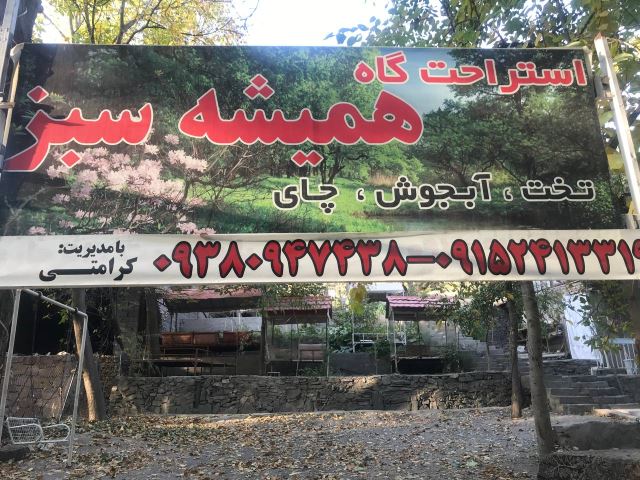 استراحتگاه همیشه سبز _ کنگ