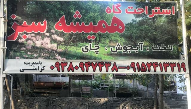 کافه استراحتگاه همیشه سبز _ کنگ