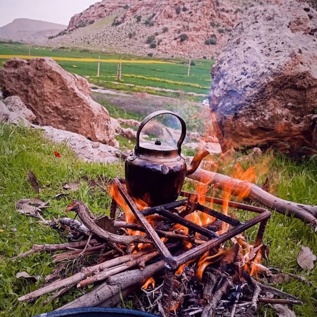 طبیعت.گردی