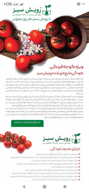 کود ویژه گوجه