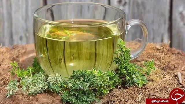 عرق آویشن 