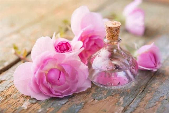 گلاب دوآتیشه 