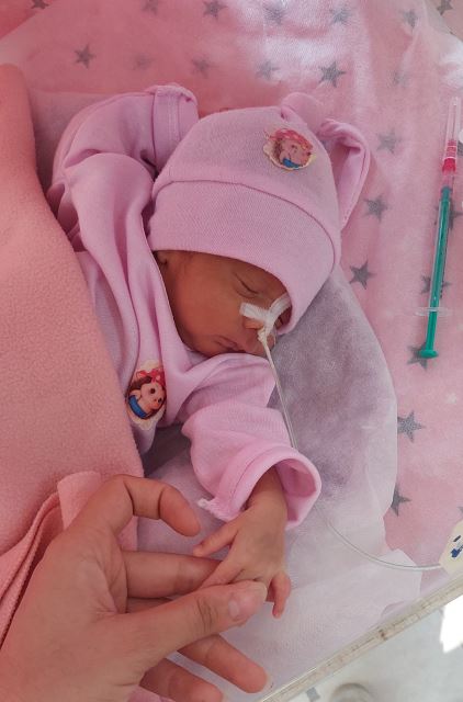 مائده میرلوحی مامایی