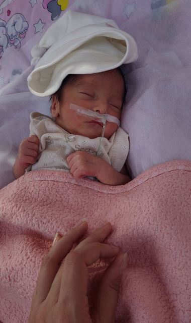 مائده میرلوحی مامایی