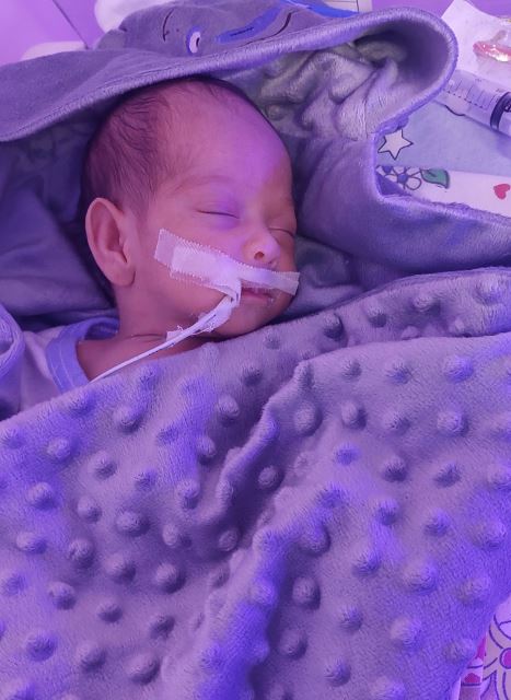 مائده میرلوحی مامایی